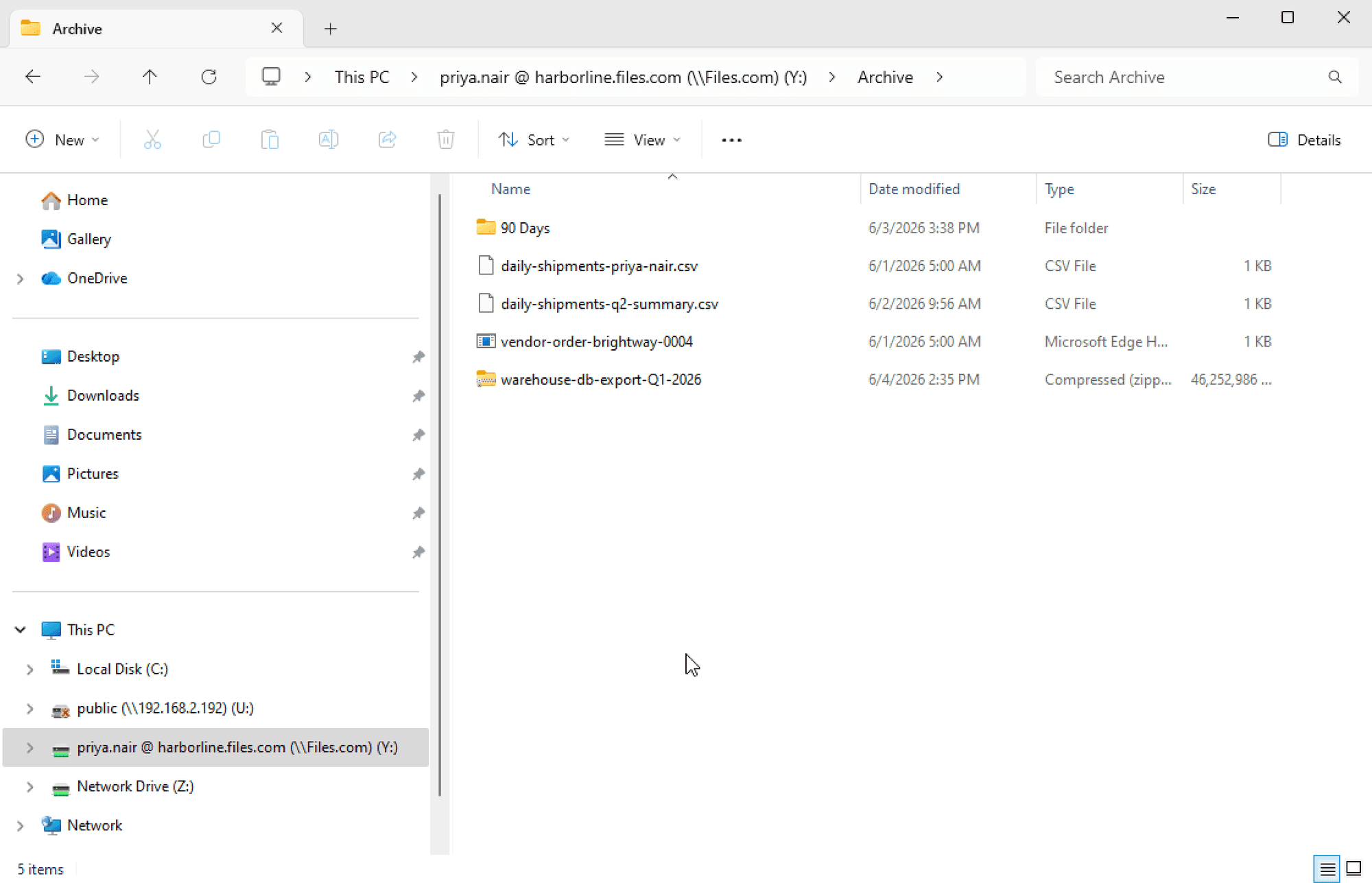 The Files.com desktop app mounting cloud storage as a mapped drive in Windows Explorer, keeping the original drive letter and paths