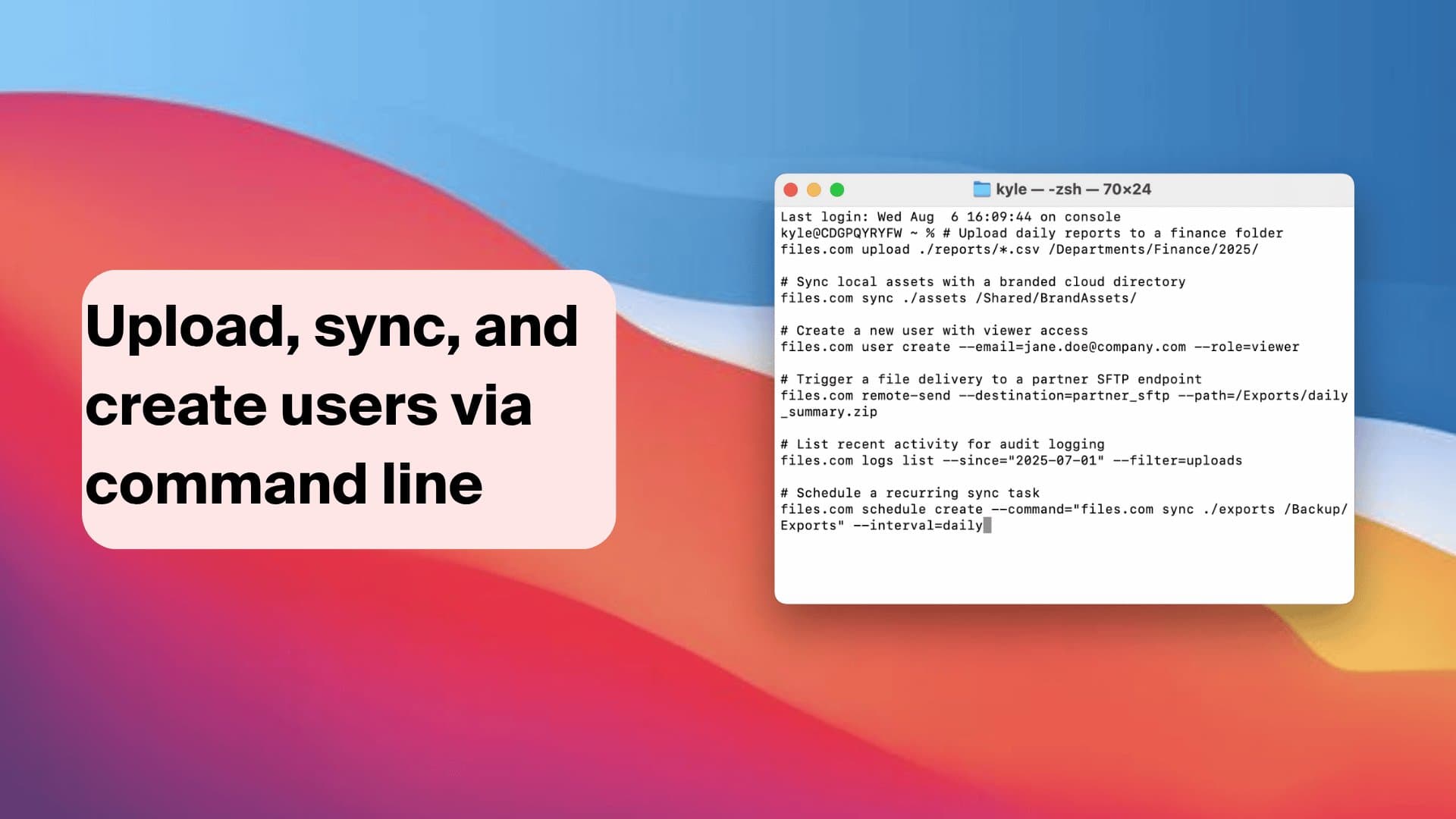 The Files.com CLI App running in a terminal