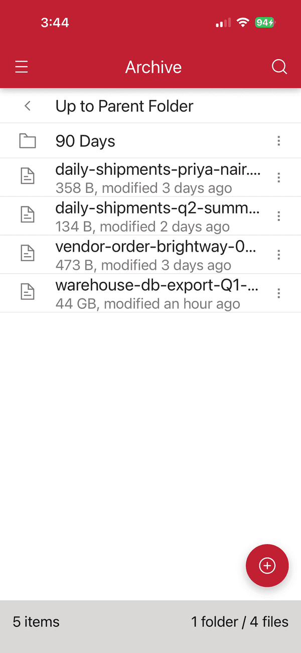 Browsing a folder in the Files.com app on iPhone, with file names, sizes, and modified dates
