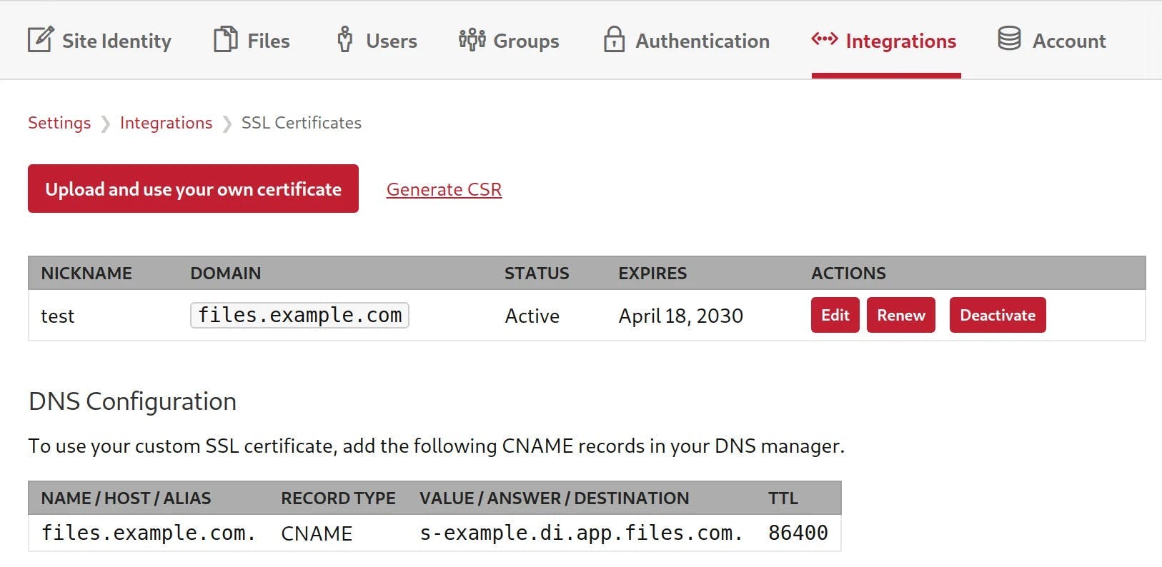 Screenshot that shows the CNAME configuration inside ofd the Files.com platform.